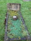 image of grave number 550003